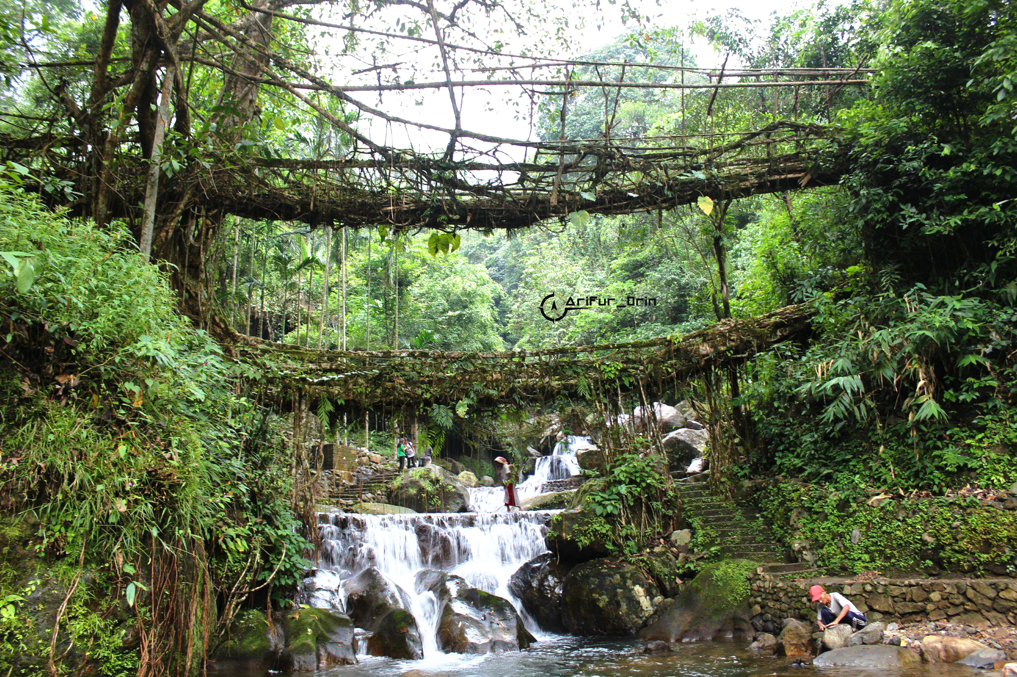 Trip to Meghalaya (Package- 02) - Image 4