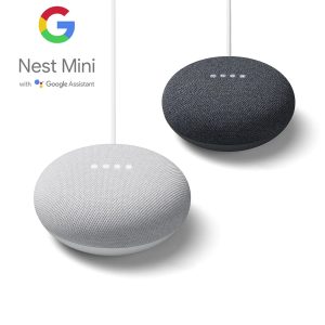 Google Nest Mini (2nd gen)